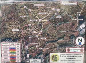 Five Mile Woods Maps