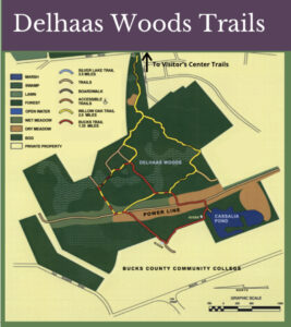 Delhaas Woods Trail Map